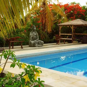book here